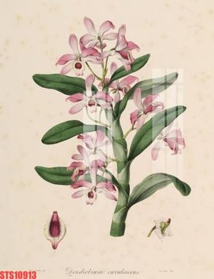 File in lụa Tranh sơn dầu phương tây tổng hợp STS10913 (phong cảnh) Tranh sơn dầu phương tây tổng hợp STS10913