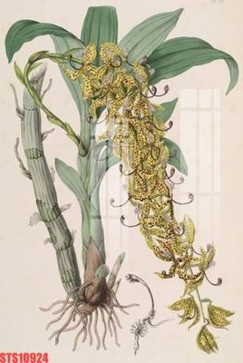 File gốc Tranh sơn dầu phương tây tổng hợp STS10924 (chuẩn CMYK) cho nhà in