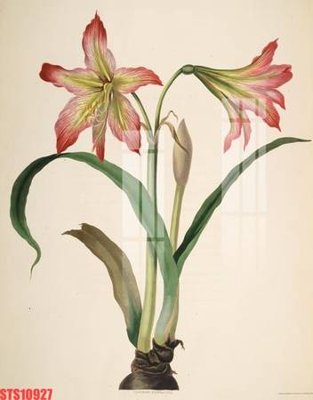 Tệp tin gốc Tranh sơn dầu phương tây tổng hợp STS10927 (dùng cho in ấn) chuyên nghiệp