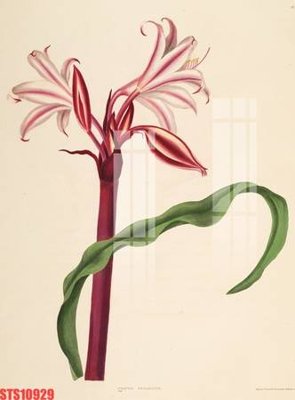 Download file gốc Tranh sơn dầu phương tây tổng hợp STS10929 (in mica) logo