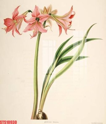 File PSD Tranh sơn dầu phương tây tổng hợp STS10930 (bản gốc) dễ dàng edit