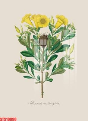 File gốc Tranh sơn dầu phương tây tổng hợp STS10990 (in lụa) trang trí tường