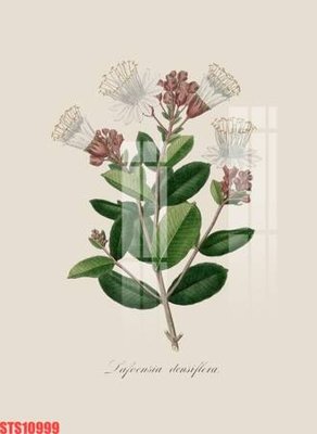 Download file Tranh sơn dầu phương tây tổng hợp STS10999 (gốc) in mica bàn thờ