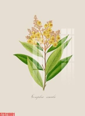 File gốc Tranh sơn dầu phương tây tổng hợp STS11001 (trang trí) phòng ngủ