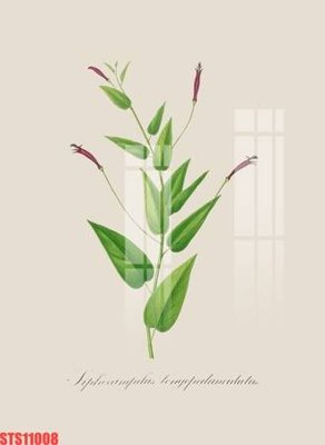 Mua file ảnh gốc Tranh sơn dầu phương tây tổng hợp STS11008 (chất lượng cao)