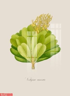 Ảnh mô tả file gốc in mica Tranh sơn dầu phương tây tổng hợp STS11009