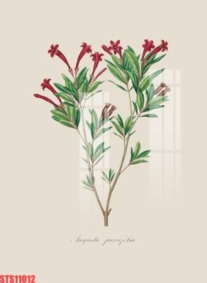 File in trần Tranh sơn dầu phương tây tổng hợp STS11012 (bản gốc) phong cảnh