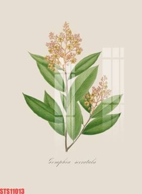 File gốc Tranh sơn dầu phương tây tổng hợp STS11013 (in lụa) hoa văn cổ điển