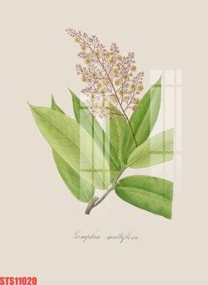 File gốc Tranh sơn dầu phương tây tổng hợp STS11020 (trang trí) phòng làm việc