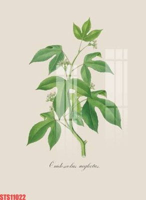 Download file gốc Tranh sơn dầu phương tây tổng hợp STS11022 (dùng cho in ấn)