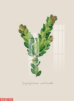 Tải file Tranh sơn dầu phương tây tổng hợp STS11028 (gốc) chủ đề hoa sen