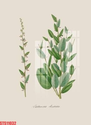 File gốc Tranh sơn dầu phương tây tổng hợp STS11032 (ảnh chi tiết) để in trần