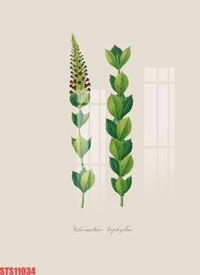 File tranh Tranh sơn dầu phương tây tổng hợp STS11034 (gốc) chủ đề trẻ em