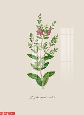 File tranh gốc Tranh sơn dầu phương tây tổng hợp STS11039 (bản quyền) file PSD