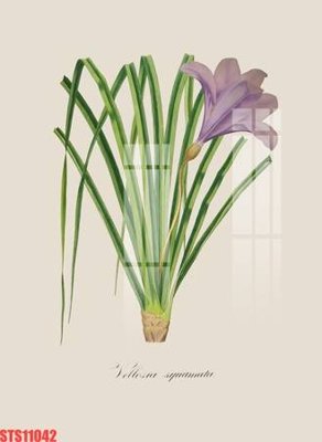 File gốc Tranh sơn dầu phương tây tổng hợp STS11042 (cho in ấn) từ kho Filetranh