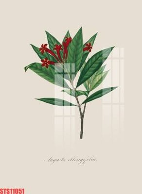 File gốc Tranh sơn dầu phương tây tổng hợp STS11051 (bản quyền) cho in ấn