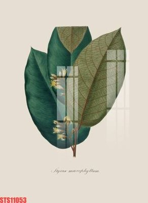 File gốc Tranh sơn dầu phương tây tổng hợp STS11053 (PNG) trong suốt (transparent)