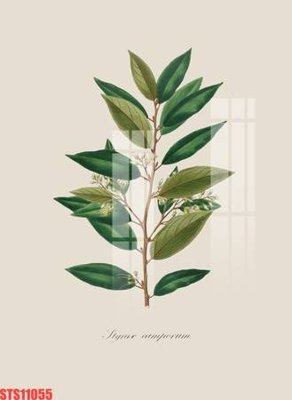 File gốc Tranh sơn dầu phương tây tổng hợp STS11055 (PNG) chất lượng cao