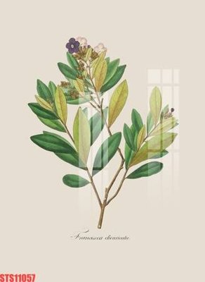 File tranh trang trí Tranh sơn dầu phương tây tổng hợp STS11057 (file gốc)