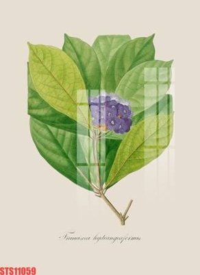 File PSD Tranh sơn dầu phương tây tổng hợp STS11059 (bản gốc) cho nhà in