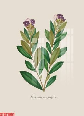 Tệp tin gốc Tranh sơn dầu phương tây tổng hợp STS11061 (chất lượng) Tranh sơn dầu phương tây tổng hợp STS11061