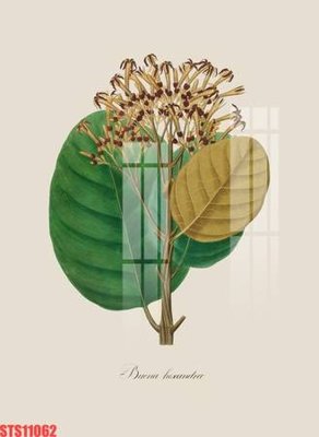 File gốc Tranh sơn dầu phương tây tổng hợp STS11062 (in tráng gương) sang trọng