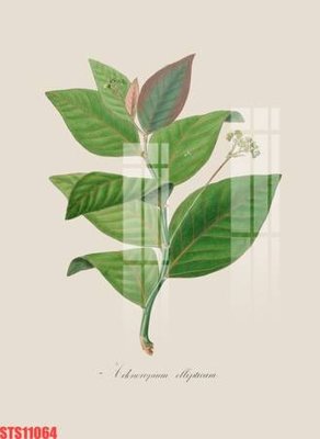 File gốc Tranh sơn dầu phương tây tổng hợp STS11064 (in lụa) tranh mã đáo