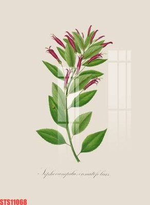 File tranh Tranh sơn dầu phương tây tổng hợp STS11068 (ảnh gốc) chi tiết rõ ràng