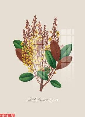 File gốc in ấn Tranh sơn dầu phương tây tổng hợp STS11076 chuẩn màu CMYK