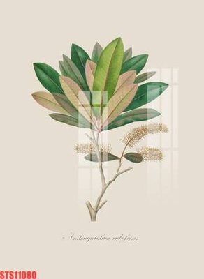 Tải file Tranh sơn dầu phương tây tổng hợp STS11080 (gốc) in ấn ngay lập tức