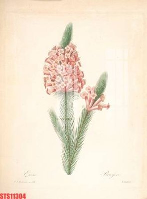 Chi tiết file tranh tráng gương Tranh sơn dầu phương tây tổng hợp STS11304 (ảnh gốc)