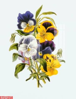 File gốc in ấn Tranh sơn dầu phương tây tổng hợp STS11358 chuẩn màu CMYK