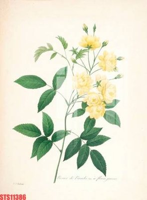 File in ấn Tranh sơn dầu phương tây tổng hợp STS11386 (bản gốc) sắc nét