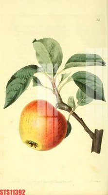 File gốc Tranh sơn dầu phương tây tổng hợp STS11392 (dành cho trang trí nội thất)