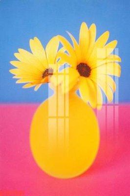 Tải về hình ảnh gốc Tranh sơn dầu phương tây tổng hợp STS11437 sắc nét