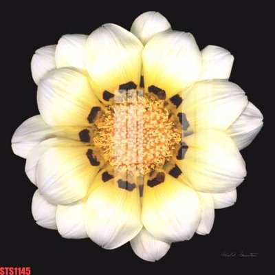 Hình ảnh file gốc Tranh sơn dầu phương tây tổng hợp STS1145 (chất lượng cao)