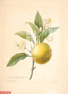 Download file gốc Tranh sơn dầu phương tây tổng hợp STS11711 (in mica) logo