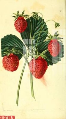 Tải file tranh Tranh sơn dầu phương tây tổng hợp STS11876 (gốc) tại Filetranh.com