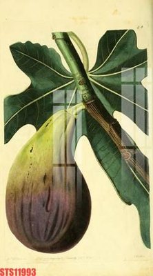 Hình ảnh file gốc in lụa Tranh sơn dầu phương tây tổng hợp STS11993