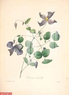 File tranh Tranh sơn dầu phương tây tổng hợp STS12142 (gốc) chủ đề trẻ em