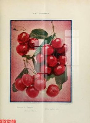 File gốc in ấn Tranh sơn dầu phương tây tổng hợp STS12146 chất lượng vượt trội