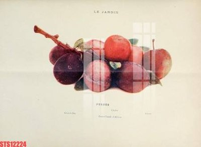 Hình ảnh file gốc in trần nhà Tranh sơn dầu phương tây tổng hợp STS12224