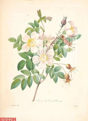 File tranh Tranh sơn dầu phương tây tổng hợp STS12294 (bản gốc) in lụa 5D