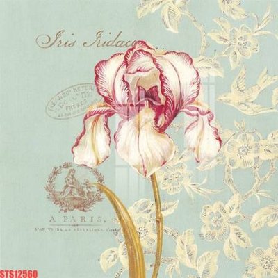 File in mica Tranh sơn dầu phương tây tổng hợp STS12560 (bản gốc) làm vách ngăn