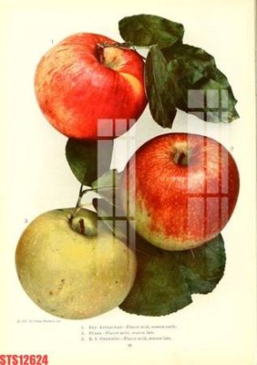 Tải file tranh Tranh sơn dầu phương tây tổng hợp STS12624 (ảnh gốc) ngay