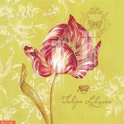 File tranh Tranh sơn dầu phương tây tổng hợp STS12716 (ảnh gốc) in trần 3D