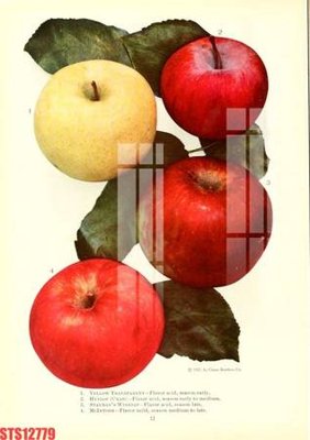 File ảnh Tranh sơn dầu phương tây tổng hợp STS12779 (gốc) in backdrop sự kiện