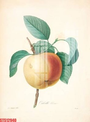 File in trần Tranh sơn dầu phương tây tổng hợp STS12940 (bản gốc) bầu trời