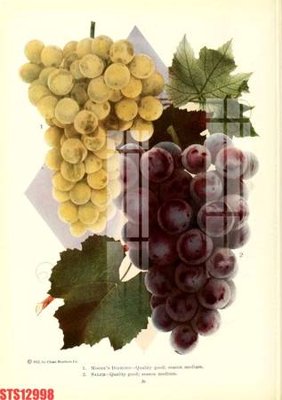 File PSD Tranh sơn dầu phương tây tổng hợp STS12998 (bản gốc) cho nhà in