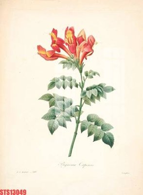 Tải file Tranh sơn dầu phương tây tổng hợp STS13049 (gốc) làm file in ấn